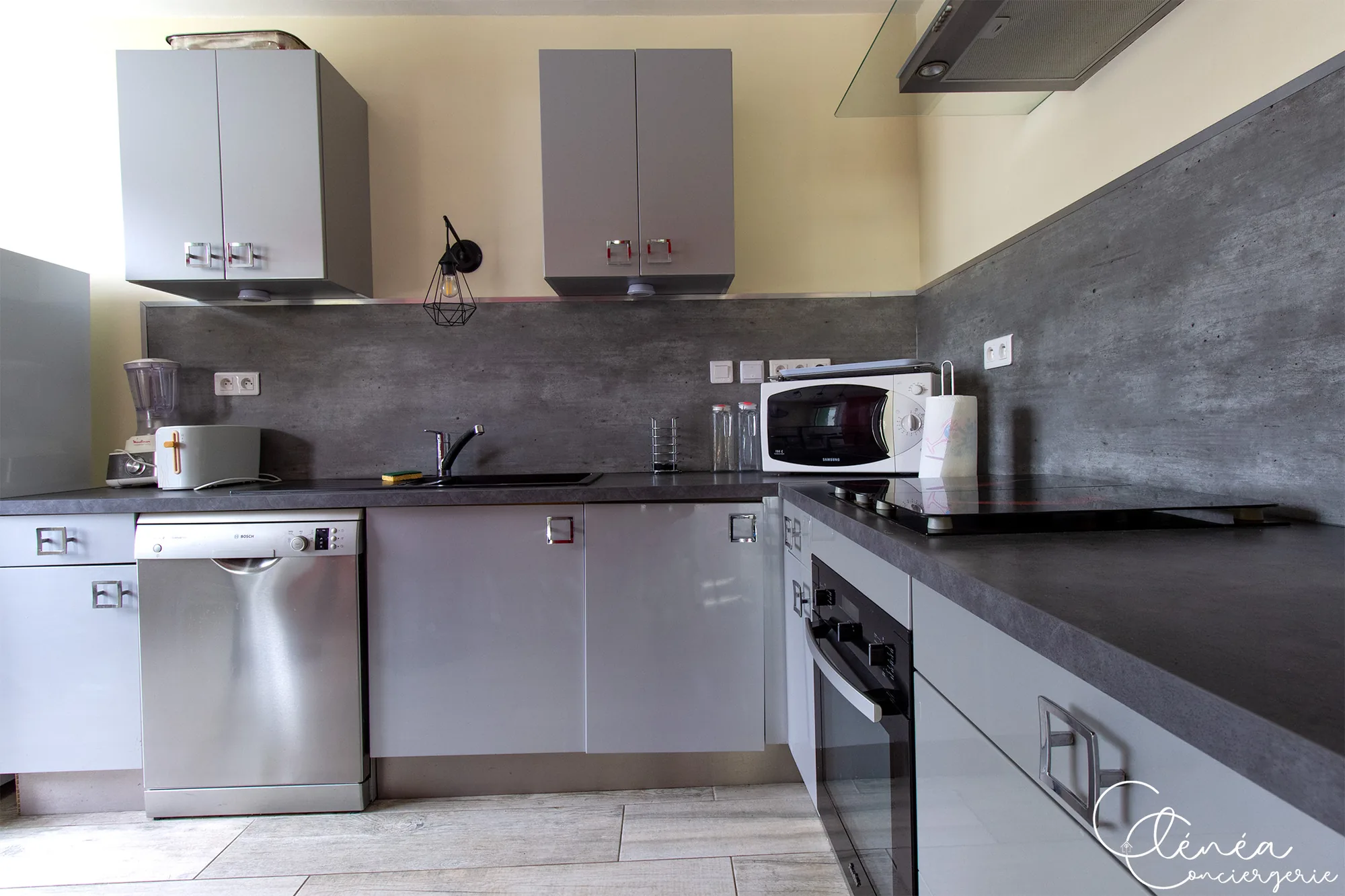 L’Escapade Albigeoise — Plan de travail de la cuisine avec plaques à induction, micro-ondes, grille-pain, blender et lave-vaisselle