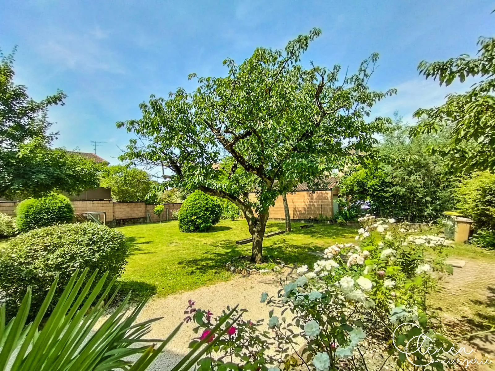 L’Escapade Albigeoise — Pelouse du jardin plantée d’arbres fruitiers, bordée de haies taillées et de rosiers en fleurs