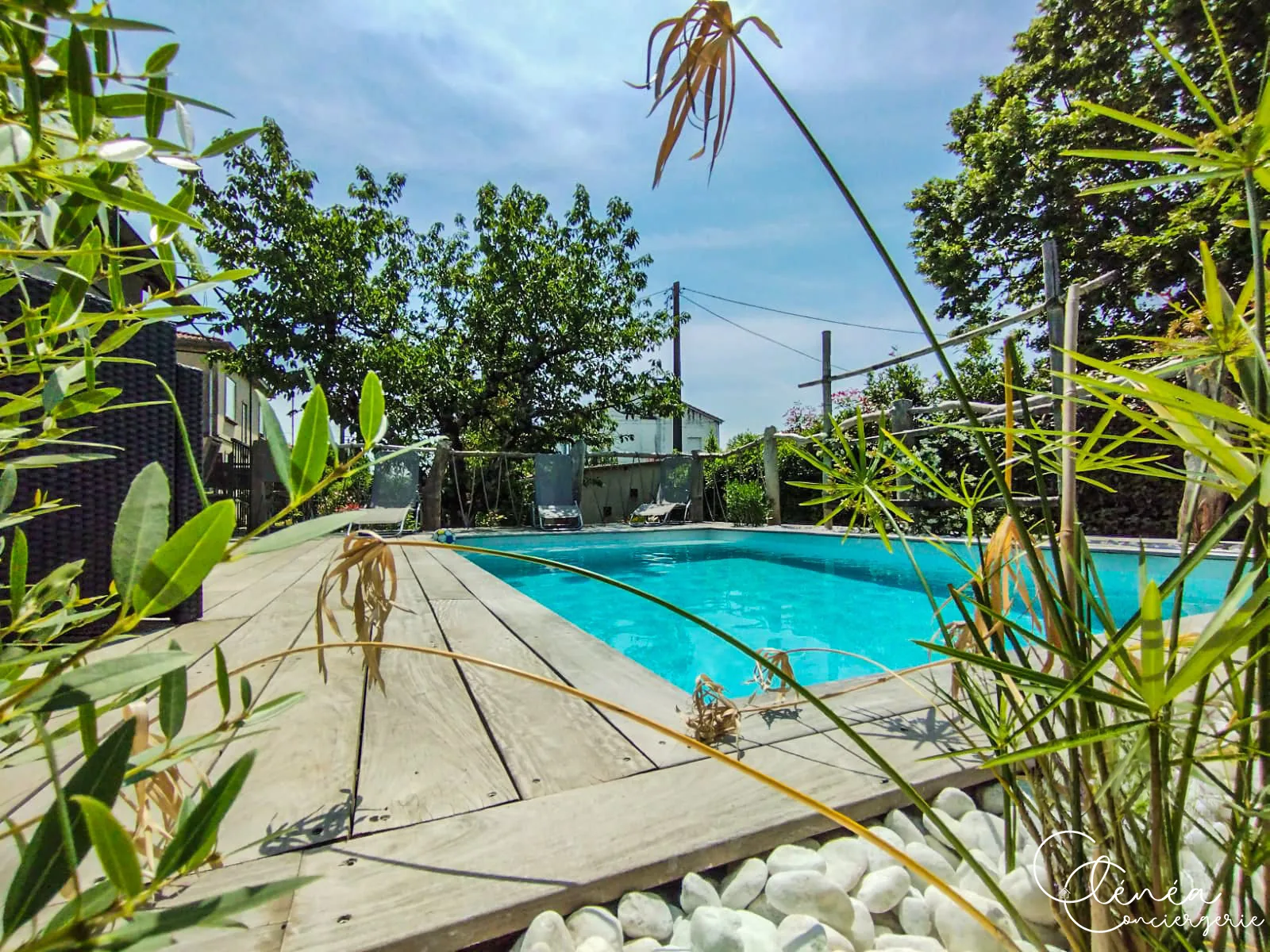 L’Escapade Albigeoise — Bassin de la piscine bordé d’une terrasse en bois et de galets blancs, entouré de végétation