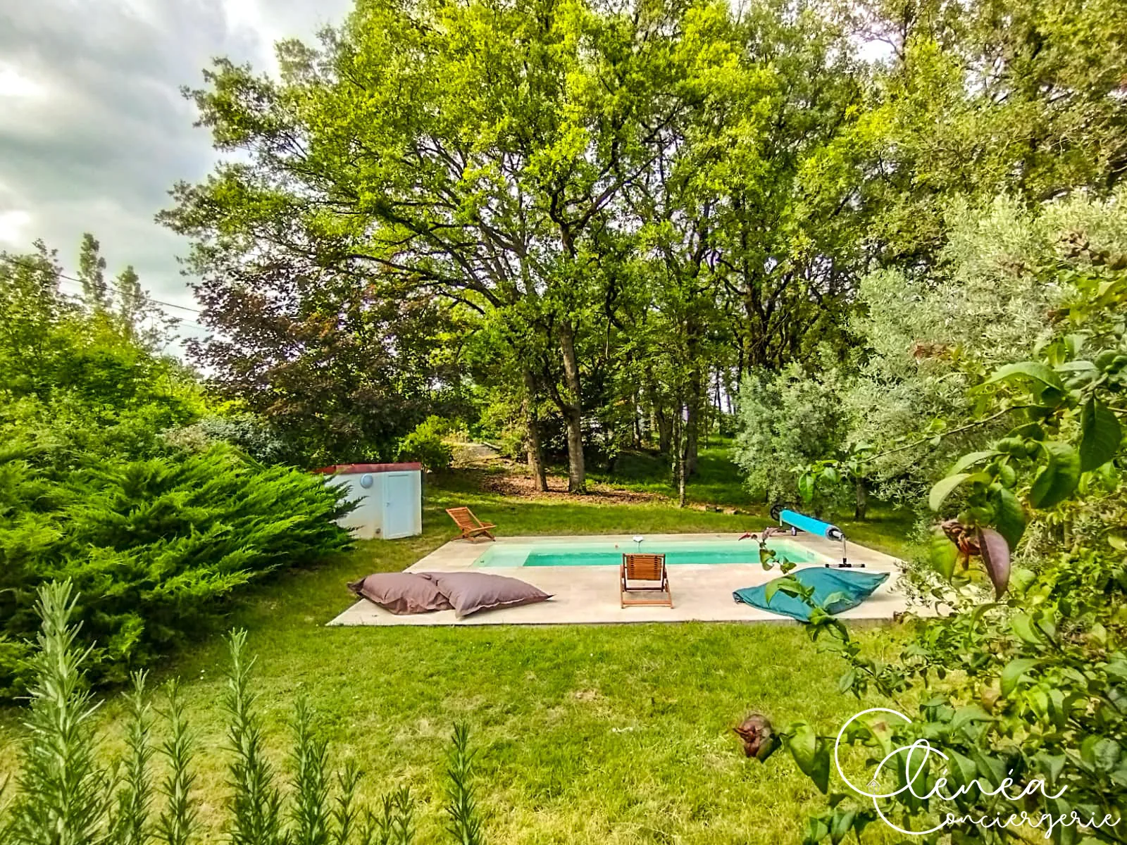 GreenOak — Piscine et sa plage entourées de pelouse et de grands chênes, avec local technique sur le côté