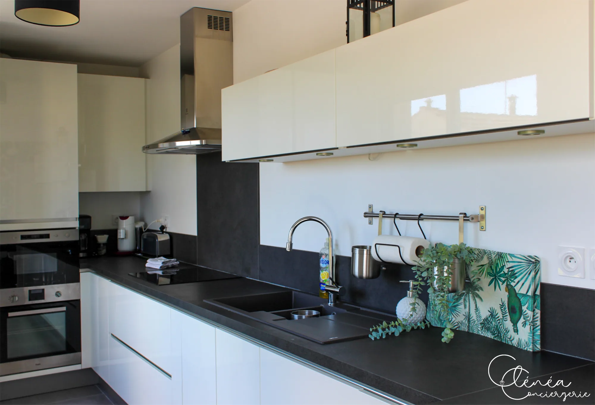 Urban Jungle — Plan de travail de la cuisine avec plaque à induction, évier, ustensiles suspendus et rangements hauts laqués.