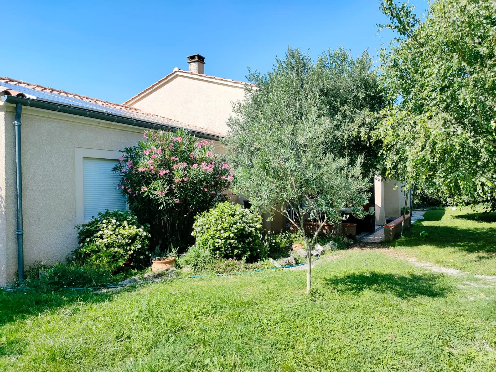 Villa Chanoine — La façade de la maison côté jardin, bordée de lauriers roses et d'un olivier, avec la pelouse au premier plan.