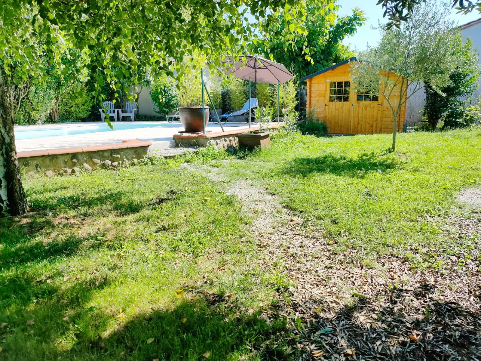 Villa Chanoine — Le jardin avec la piscine et son parasol à gauche, l'abri de jardin en bois et un olivier à droite.